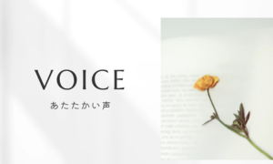 VOICE