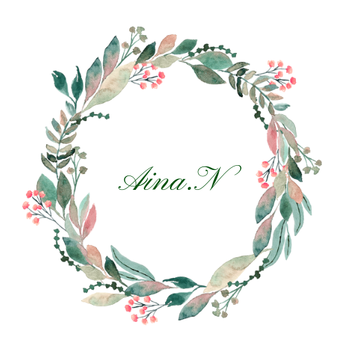 Aina.N